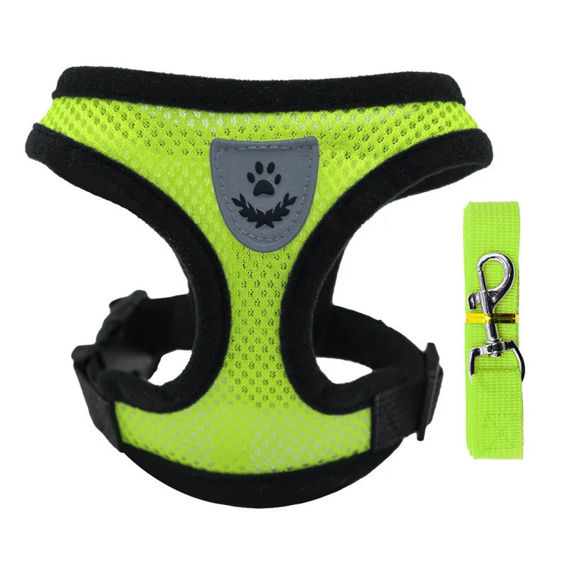 Harnais Gilet Chat & Chien Laisse Promenade Maille Réglable Polyester – Collier Confortable Petite & Moyenne Race | Accessoires Animaux