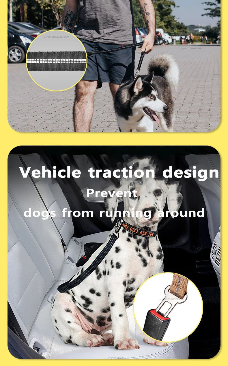 Laisse Chien Grande Race Robuste Anti-Traction Bungee Tactique – 2 Poignées Rembourrées Absorption Chocs | Accessoires Chien