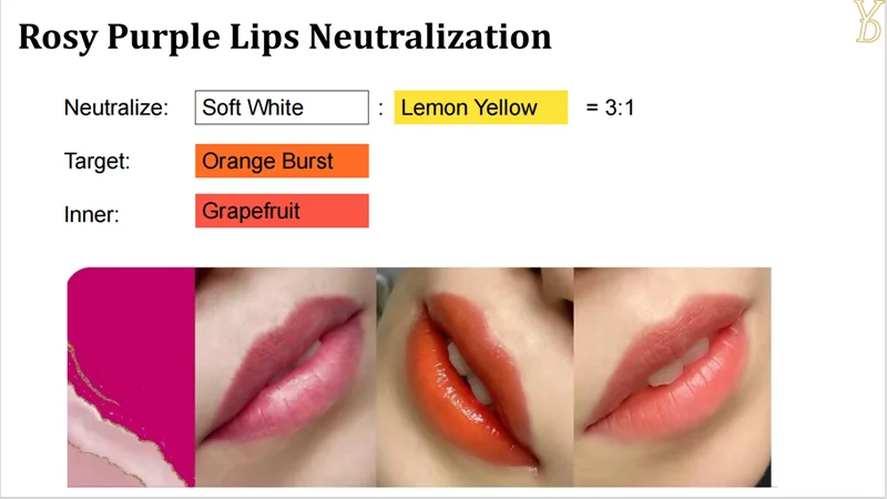 Pigments Lèvres Semi-Permanent YDPMU NEO – Neutralisation 10 Couleurs | Maquillage Permanent
