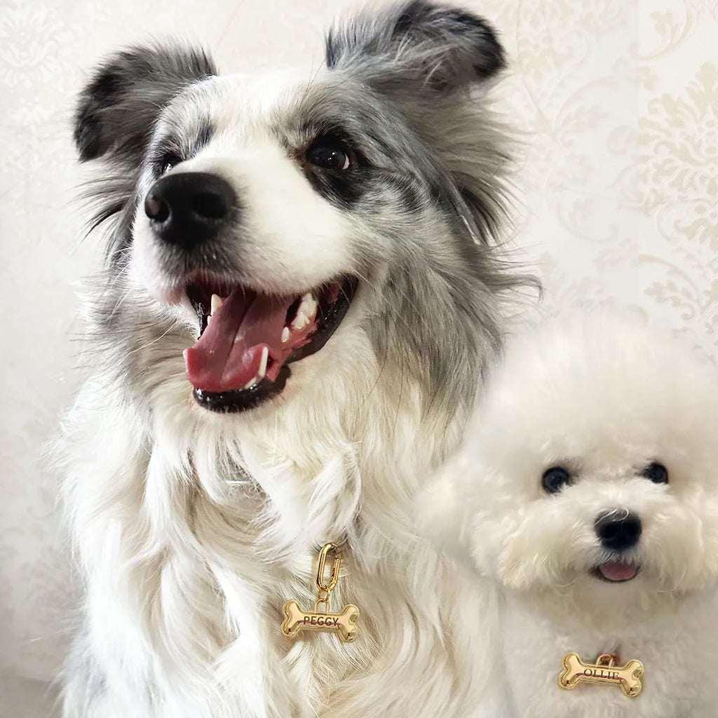 Plaque ID Personnalisée Chien & Chat Memopaw Cuivre Gravure Gratuite Anti-Perte – Médaillon Nom Collier | Accessoires Animaux