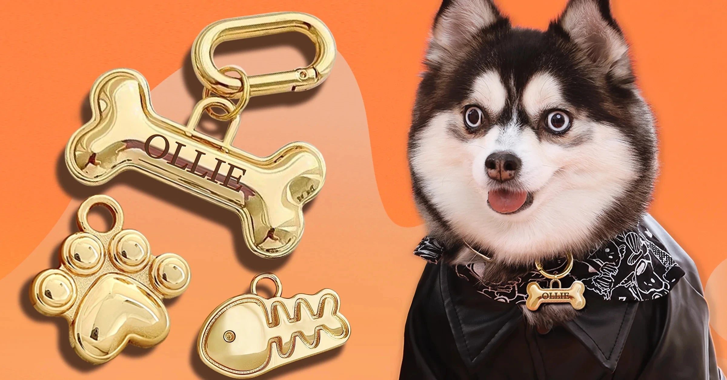 Plaque ID Personnalisée Chien & Chat Memopaw Cuivre Gravure Gratuite Anti-Perte – Médaillon Nom Collier | Accessoires Animaux