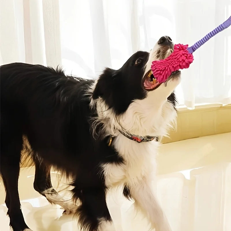 Jouet Corde Chien Anti-Déchirure – Balle Colorée Peluche Puzzle Interactif Dentition
