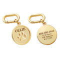 Plaque ID Personnalisée Chien & Chat Memopaw Cuivre Gravure Gratuite Anti-Perte – Médaillon Nom Collier | Accessoires Animaux