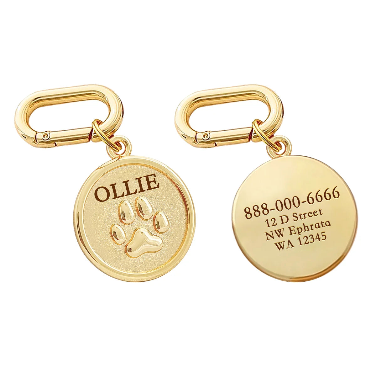 Plaque ID Personnalisée Chien & Chat Memopaw Cuivre Gravure Gratuite Anti-Perte – Médaillon Nom Collier | Accessoires Animaux