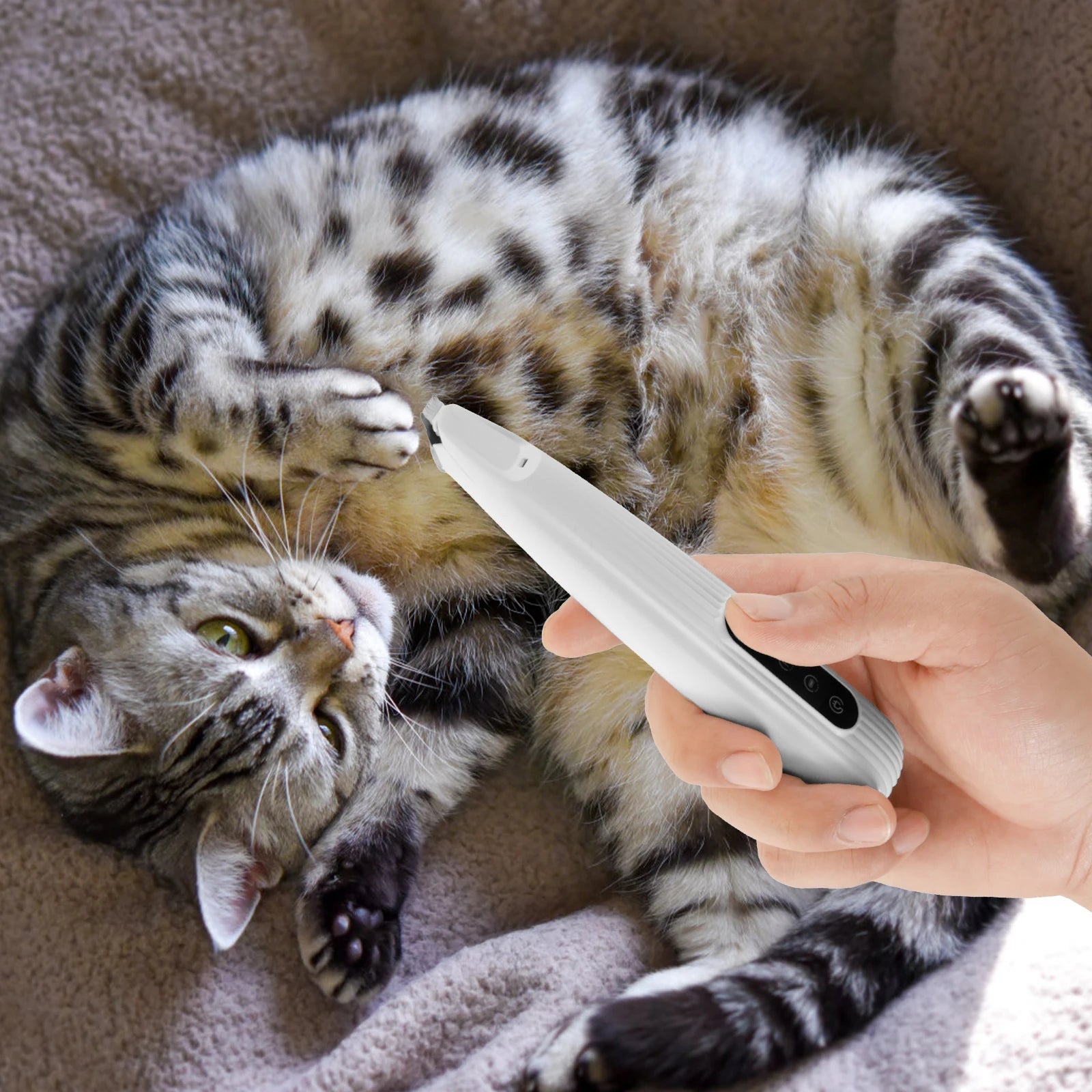 Tondeuse Pattes Chien Chat Silencieuse USB LED – Toilettage Visage Oreilles Pieds Rechargeable