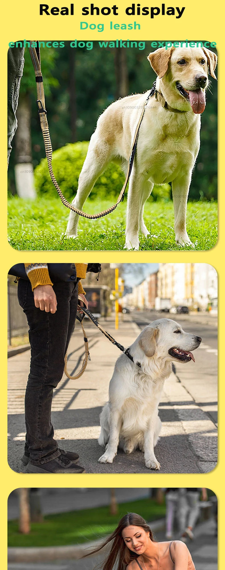 Laisse Chien Grande Race Robuste Anti-Traction Bungee Tactique – 2 Poignées Rembourrées Absorption Chocs | Accessoires Chien