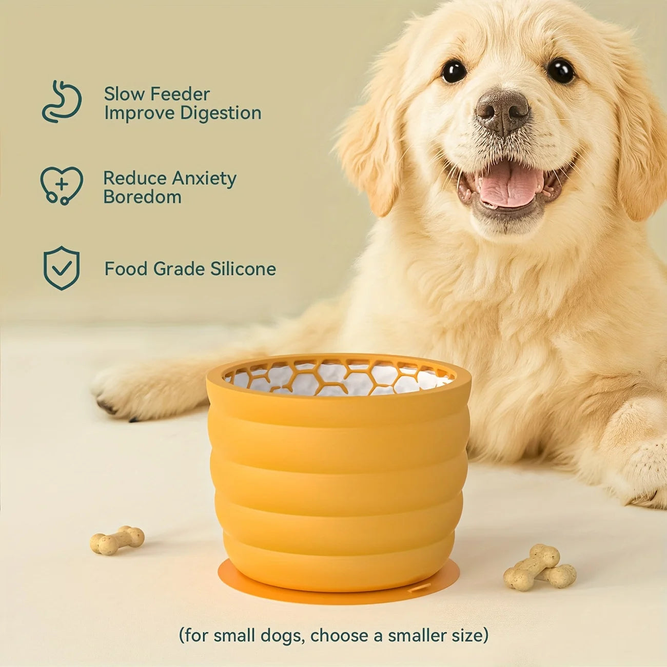 Gamelle Silicone Anti-Glouton Chien – Ventouse Anti-Dérapante Alimentation Saine Petites Races