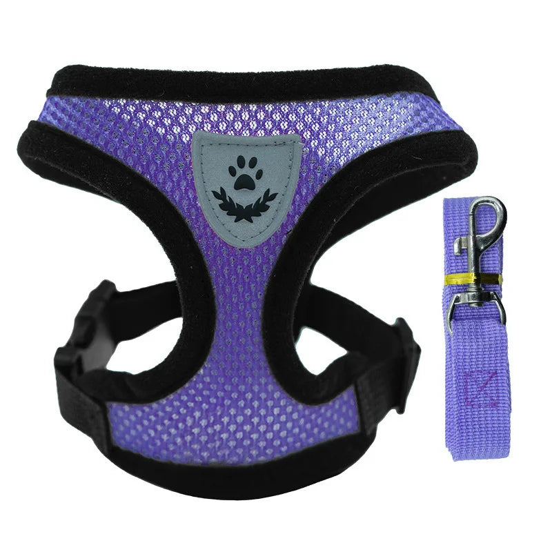 Harnais Gilet Chat & Chien Laisse Promenade Maille Réglable Polyester – Collier Confortable Petite & Moyenne Race | Accessoires Animaux