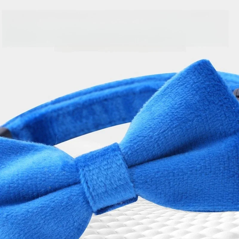 Collier Chat Nœud Papillon Sécurité – Clochette Anti-Étranglement Puppy Chaton Adorable