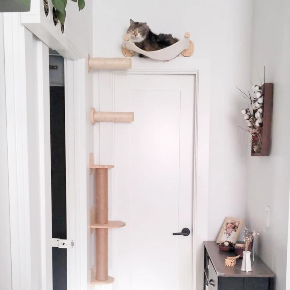 Arbre à Chat Mural Escalade Bois – Étagères Plateforme Saut Hamac Escalier | Aire de Jeux Chaton Mobilier