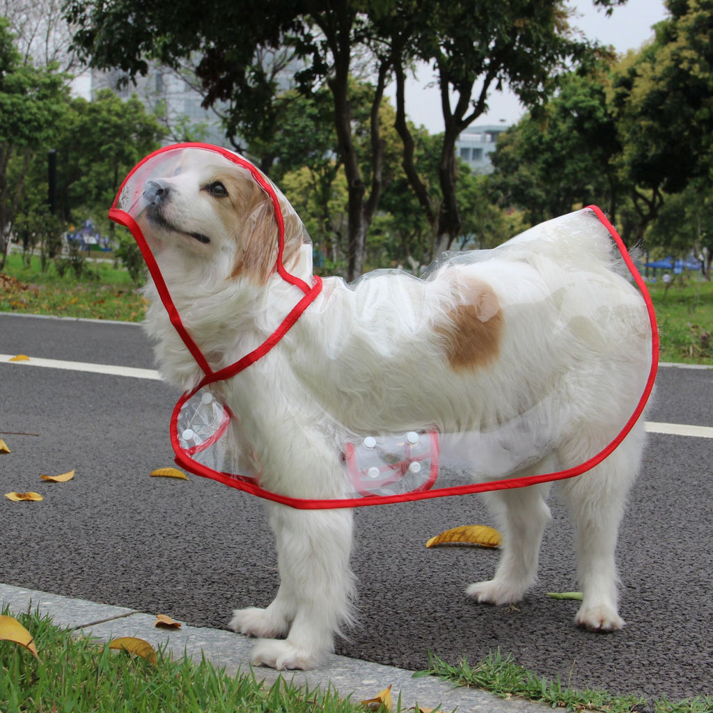Imperméable Chien Transparent Poncho Imperméable Mode Bords Colorés Personnalisés – Costume Pluie Grande Race | Accessoires Chien