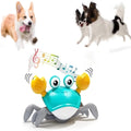 Jouet Interactif Crabe Dansant Chien & Chat Sons Musicaux – Stimulant & Amusant | Jouet Électronique Animaux de Compagnie