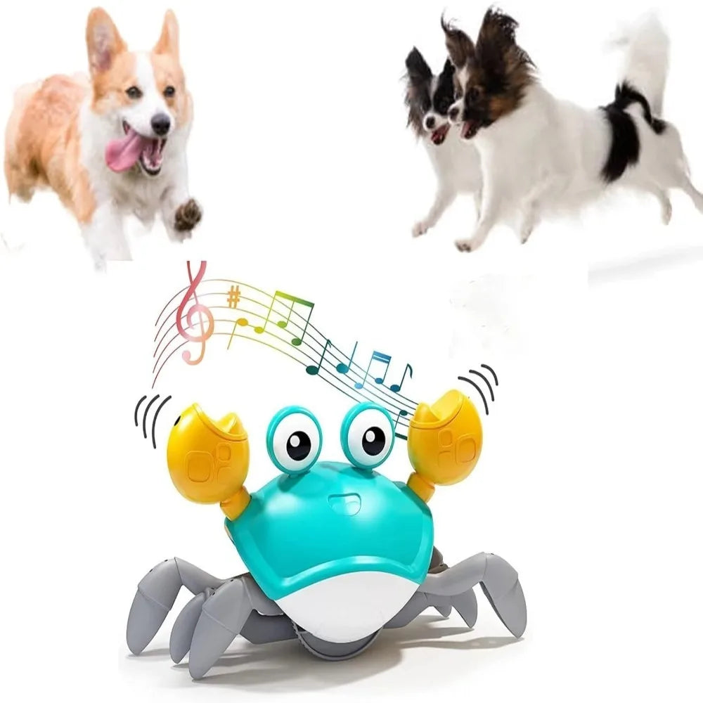 Jouet Interactif Crabe Dansant Chien & Chat Sons Musicaux – Stimulant & Amusant | Jouet Électronique Animaux de Compagnie