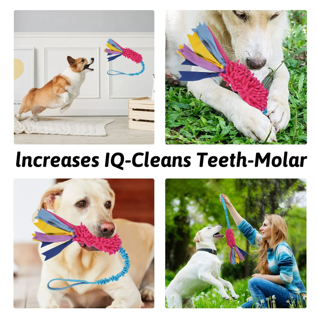 Jouet Corde Chien Anti-Déchirure – Balle Colorée Peluche Puzzle Interactif Dentition