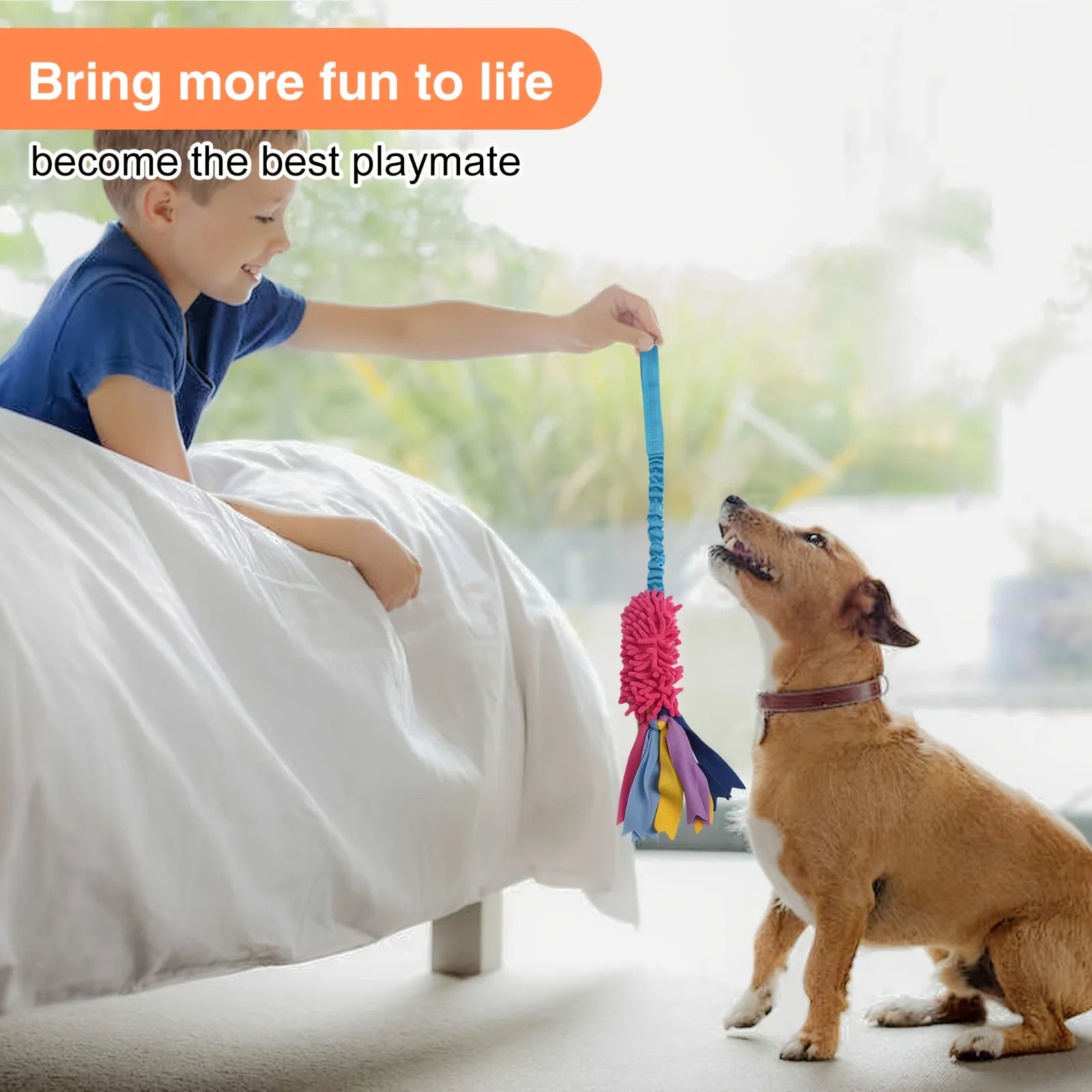 Jouet Corde Chien Anti-Déchirure – Balle Colorée Peluche Puzzle Interactif Dentition