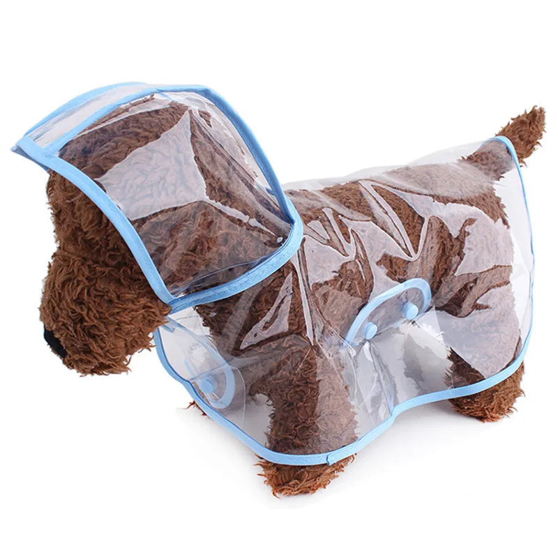 Imperméable Chien Transparent Poncho Imperméable Mode Bords Colorés Personnalisés – Costume Pluie Grande Race | Accessoires Chien
