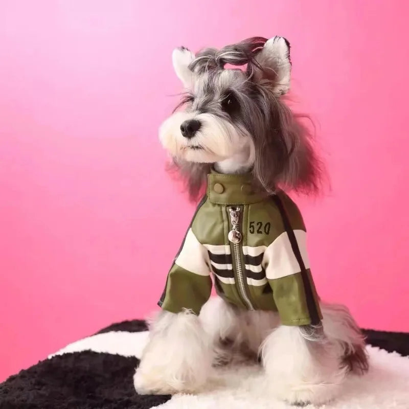 Manteau Chien Yorkshire Schnauzer Teddy Bear – Veste Designer Fashion Hiver Puppy Chaud