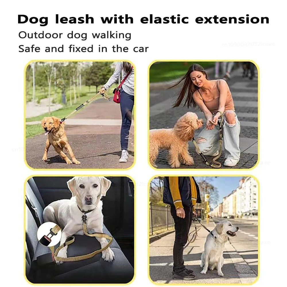 Laisse Chien Grande Race Robuste Anti-Traction Bungee Tactique – 2 Poignées Rembourrées Absorption Chocs | Accessoires Chien
