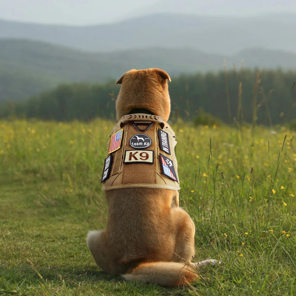 1 Piece Dog Patch for Service Dog Vest Cat Vest Removable Tactical Harness Service Dog Puppy Training Embroidered Patch