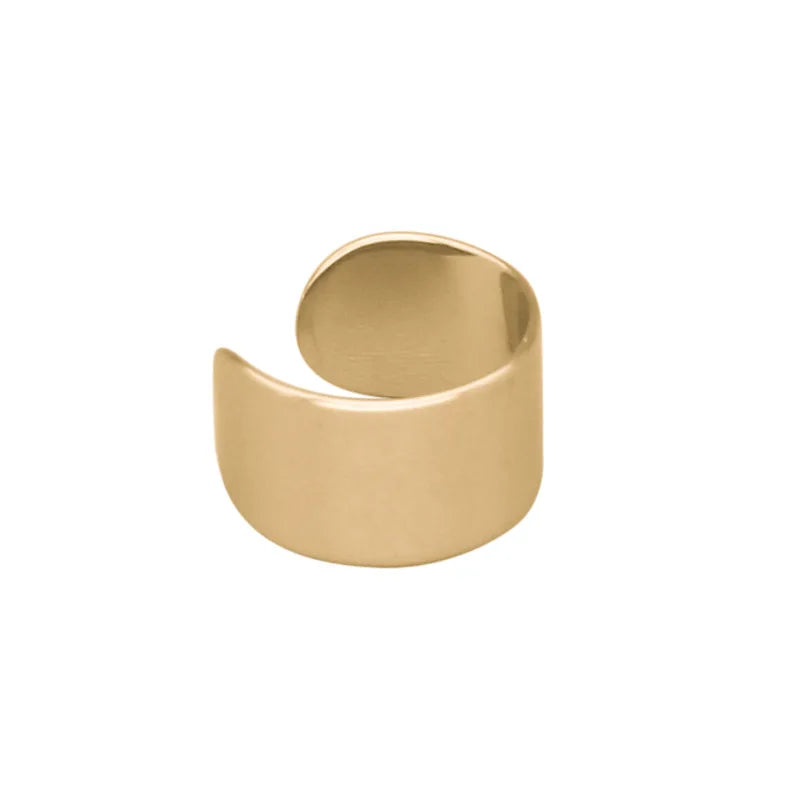 Ohrclip Herren Edelstahl Ohne Piercing