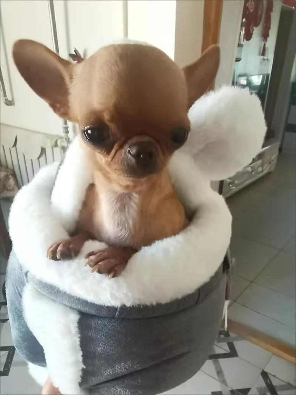 Sac à Dos Transport Chien Chat Hiver Chaud – Sac Porteur Chihuahua Yorkshire Petit Chien Voyage Outdoor