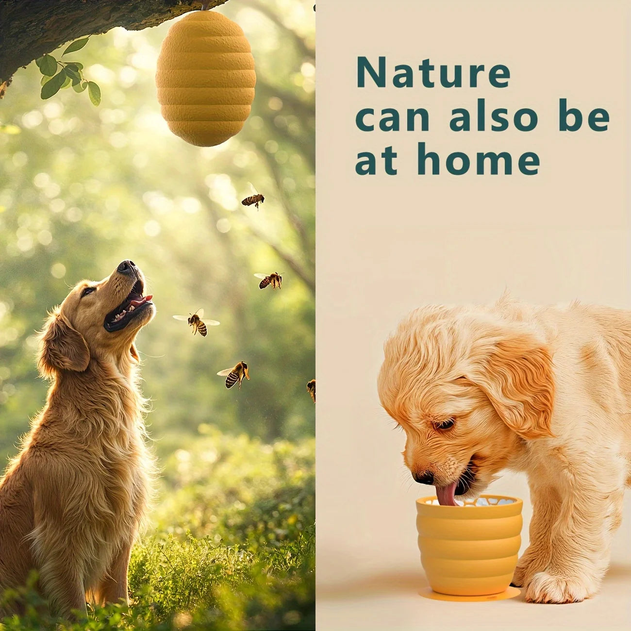 Gamelle Silicone Anti-Glouton Chien – Ventouse Anti-Dérapante Alimentation Saine Petites Races