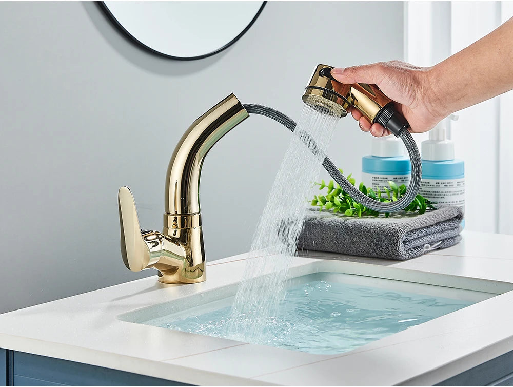 POIQIHY Robinet Lavabo Extractible Noir – Mitigeur Chaud Froid, Rotation 360°, Bec Relevable | Chrome & Noir Salle de Bain