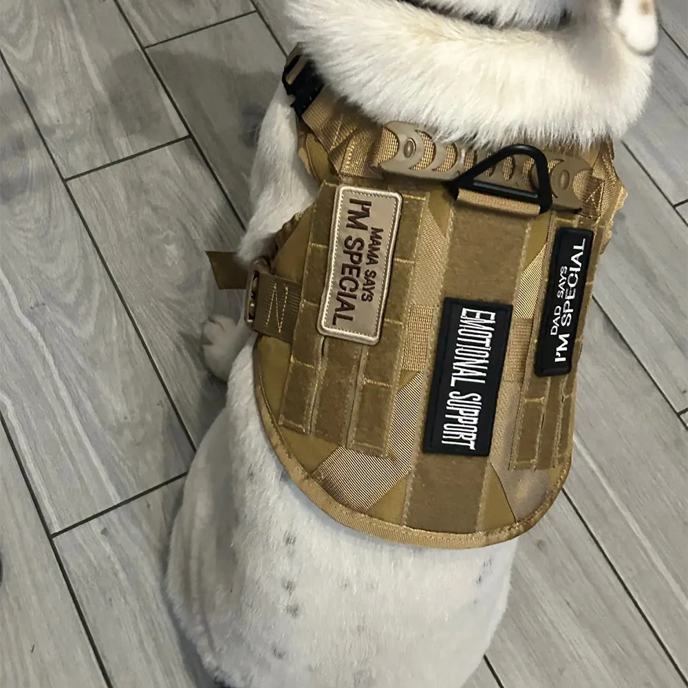 1 Piece Dog Patch for Service Dog Vest Cat Vest Removable Tactical Harness Service Dog Puppy Training Embroidered Patch