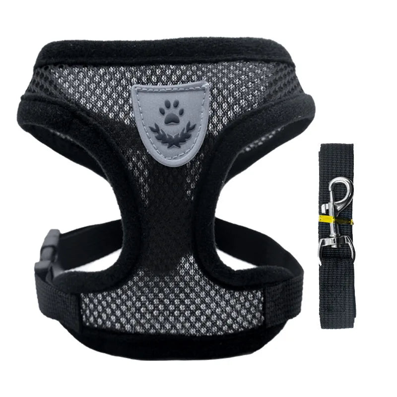 Harnais Gilet Chat & Chien Laisse Promenade Maille Réglable Polyester – Collier Confortable Petite & Moyenne Race | Accessoires Animaux
