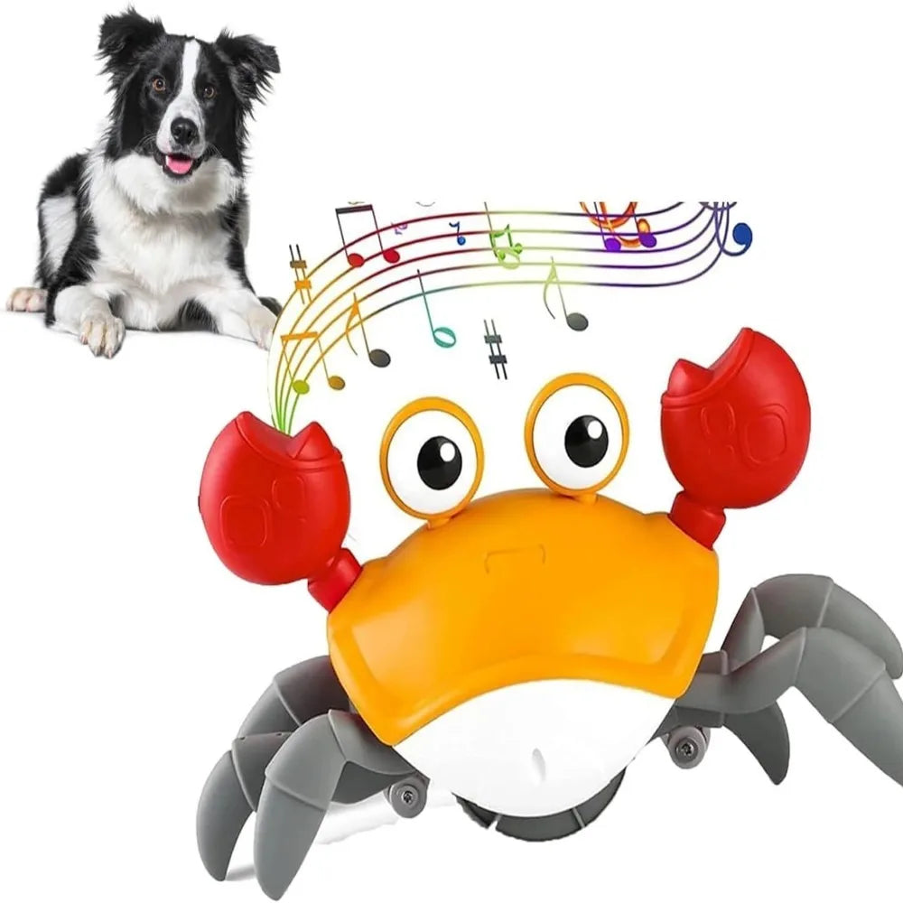 Jouet Interactif Crabe Dansant Chien & Chat Sons Musicaux – Stimulant & Amusant | Jouet Électronique Animaux de Compagnie