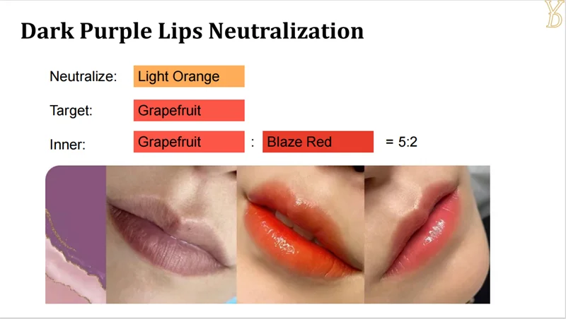 Pigments Lèvres Semi-Permanent YDPMU NEO – Neutralisation 10 Couleurs | Maquillage Permanent