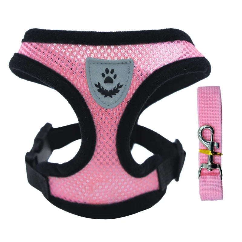 Harnais Gilet Chat & Chien Laisse Promenade Maille Réglable Polyester – Collier Confortable Petite & Moyenne Race | Accessoires Animaux