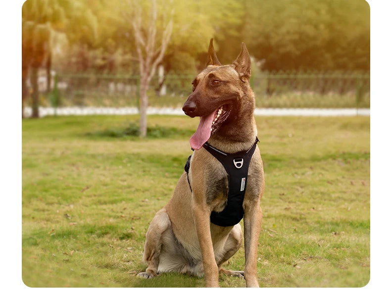 Hundegeschirr TRUE LOVE Anti-Zug Nylon Reflektierend Verstellbar – Bequem Einfaches Anlegen Alle Größen | Truelove TLH5654