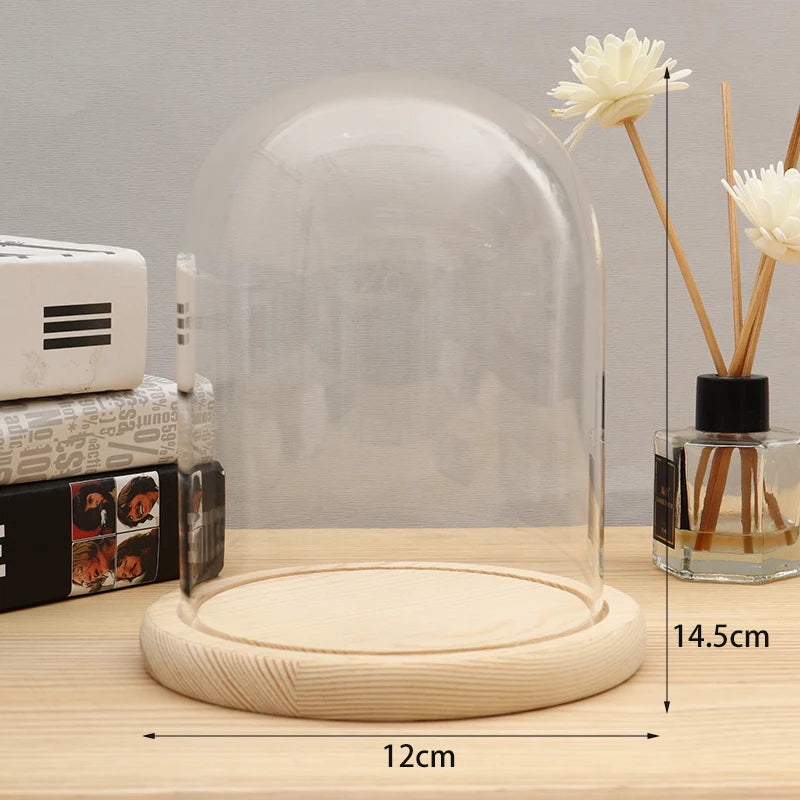 Présentoir Montre Verre Créatif – Support Organisateur Rangement Montres Cadeau Idée