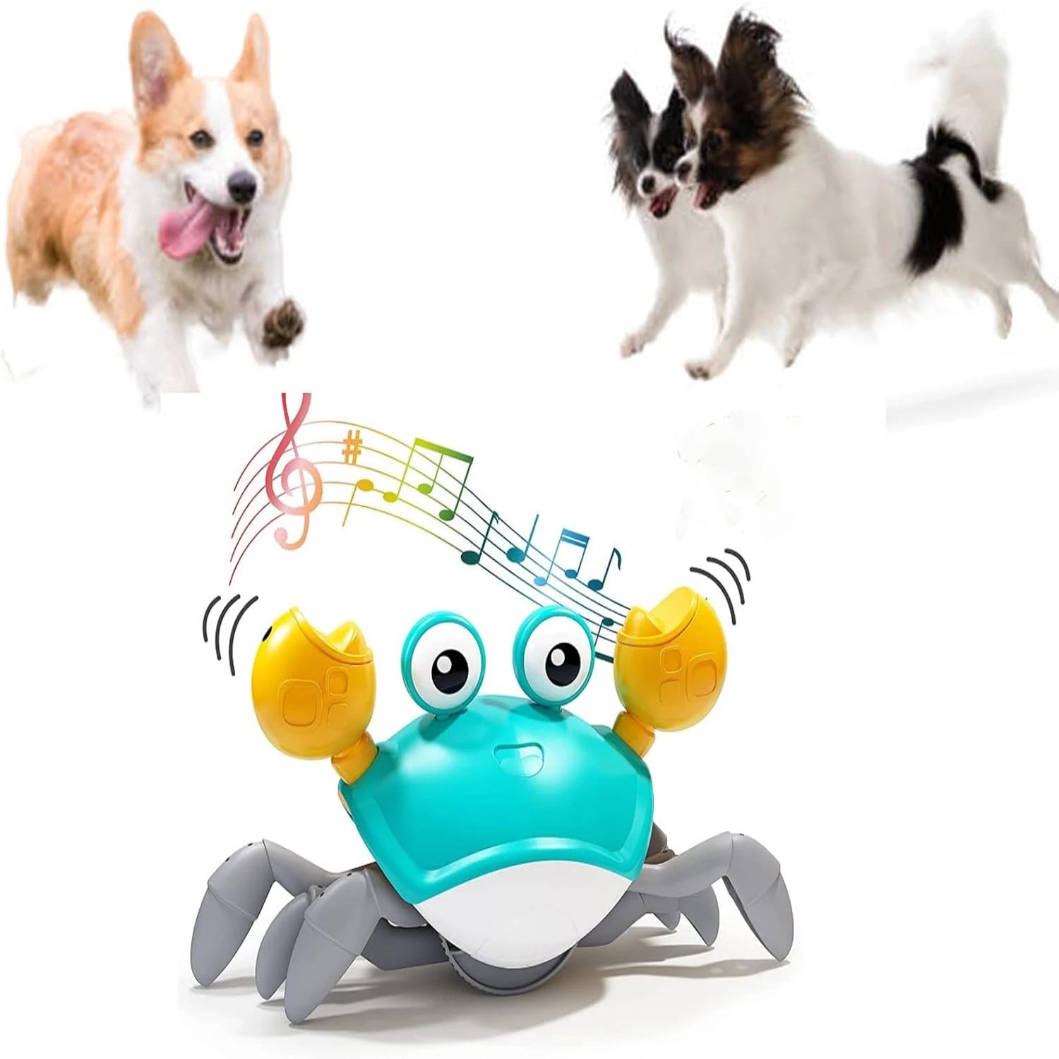Jouet Interactif Crabe Dansant Chien & Chat Sons Musicaux – Stimulant & Amusant | Jouet Électronique Animaux de Compagnie