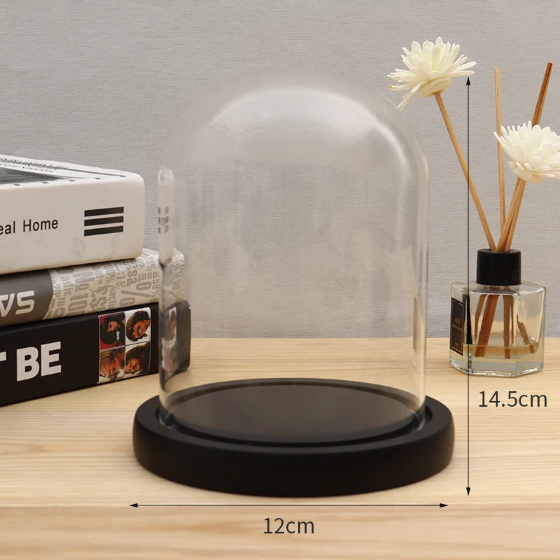 Présentoir Montre Verre Créatif – Support Organisateur Rangement Montres Cadeau Idée