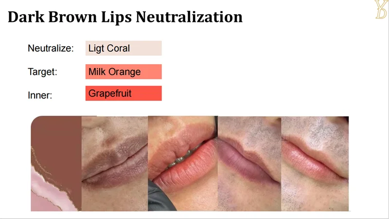 Pigments Lèvres Semi-Permanent YDPMU NEO – Neutralisation 10 Couleurs | Maquillage Permanent