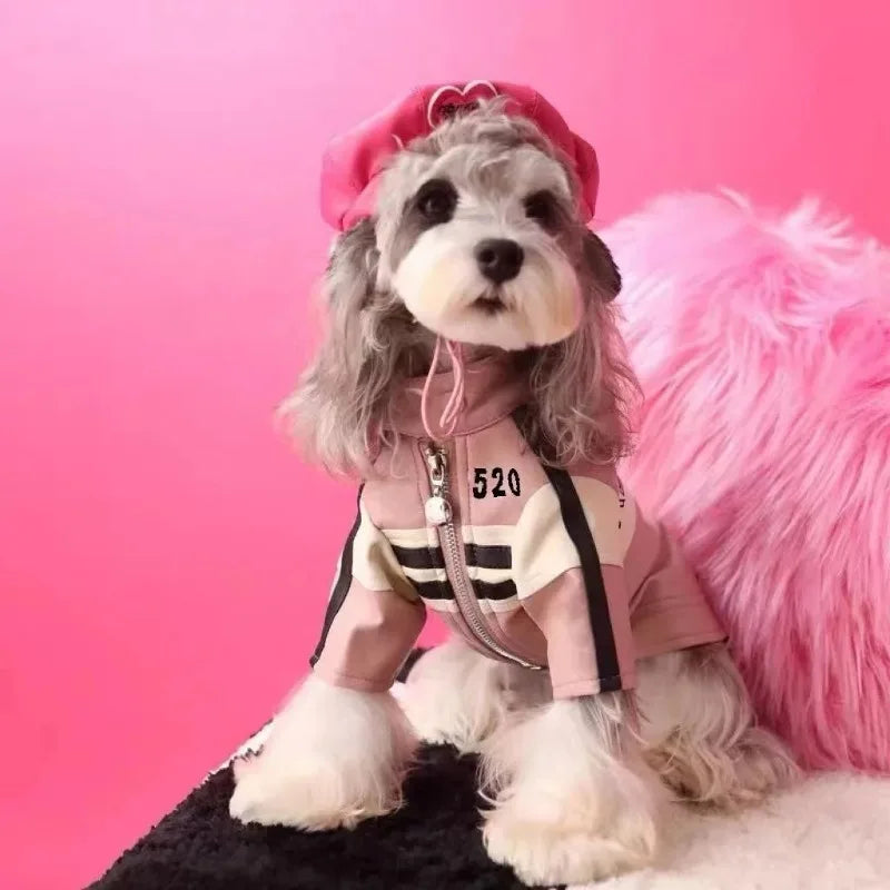 Manteau Chien Yorkshire Schnauzer Teddy Bear – Veste Designer Fashion Hiver Puppy Chaud
