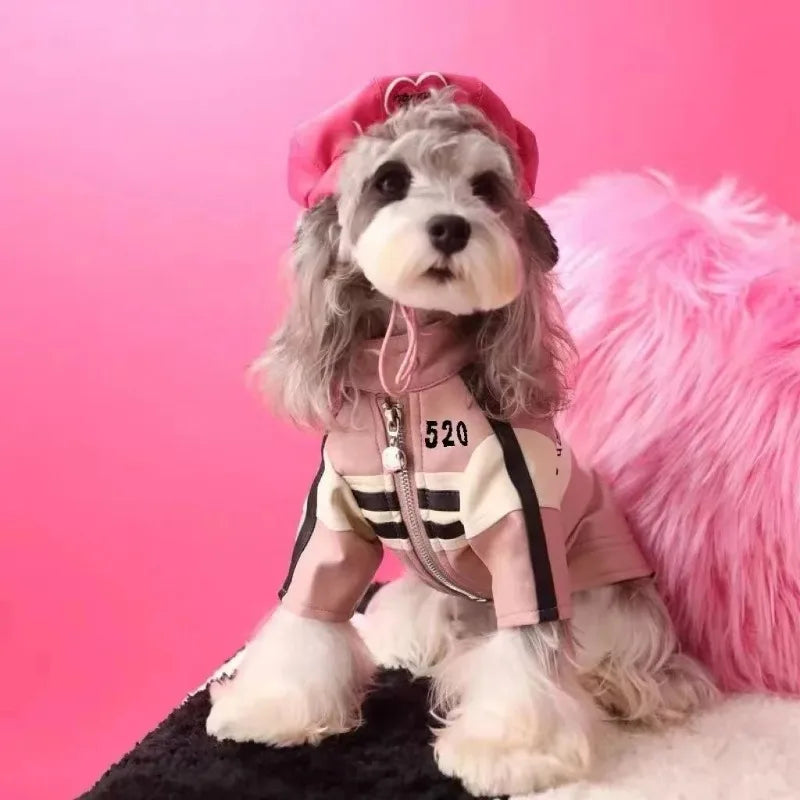 Manteau Chien Yorkshire Schnauzer Teddy Bear – Veste Designer Fashion Hiver Puppy Chaud