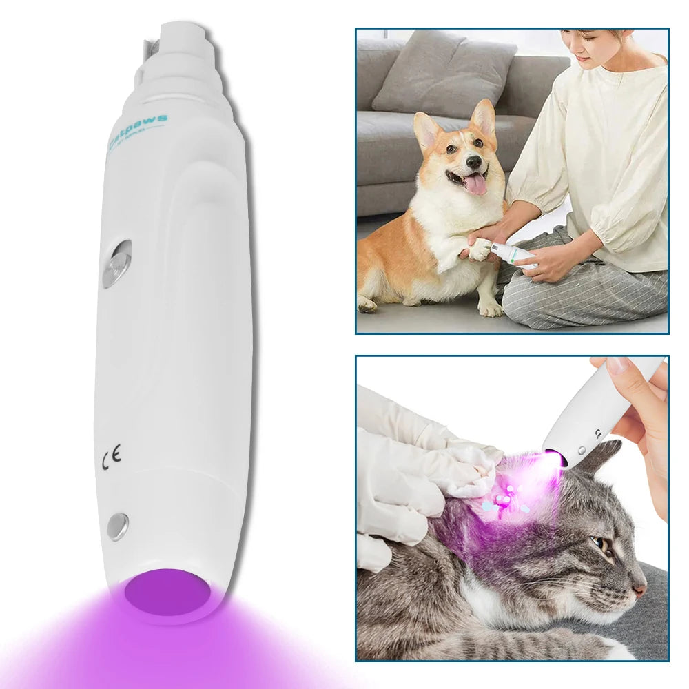 Lime À Griffes Électrique Chien & Chat USB Rechargeable – Meuleuse Silencieuse Pattes Toilettage | Outil Soin Animaux