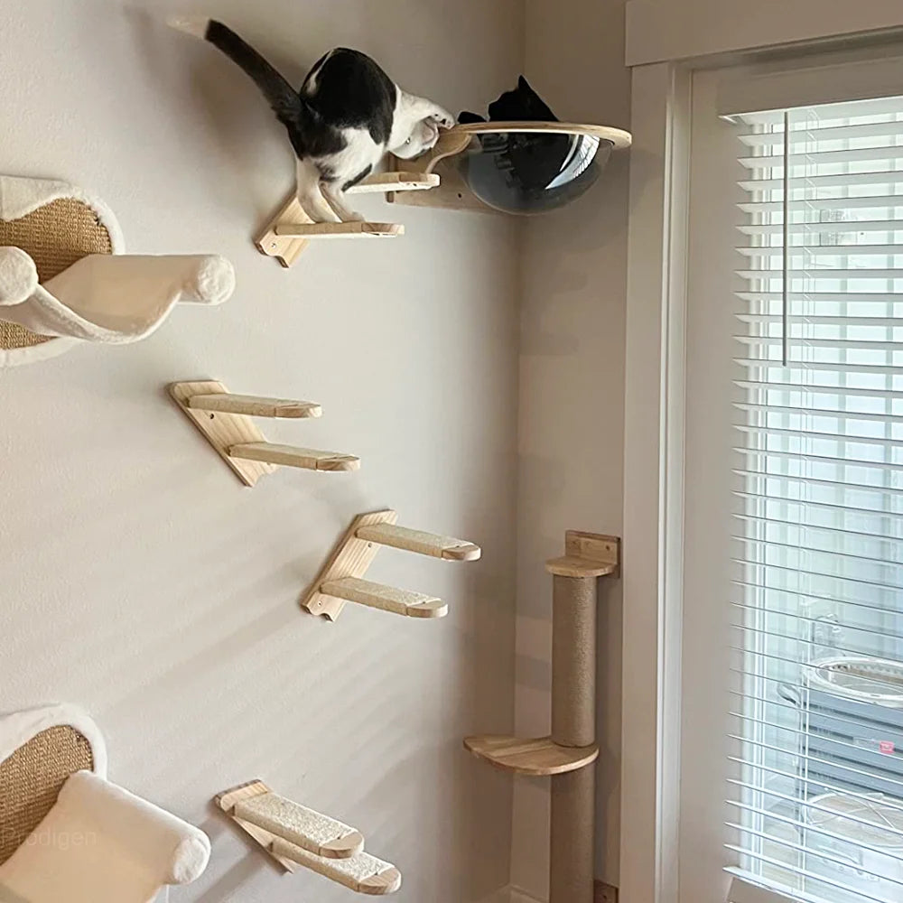 Arbre à Chat Mural Escalade Bois – Étagères Plateforme Saut Hamac Escalier | Aire de Jeux Chaton Mobilier