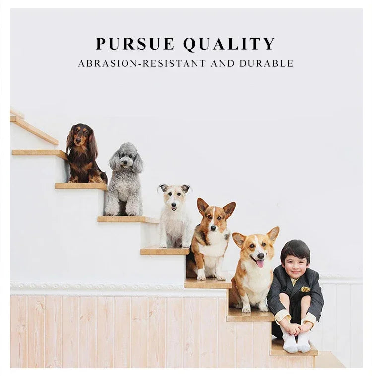 Sac Transport Chat & Chien Portable Mesh Respirant Pliable – Sac à Main Voyage Petite Race | Transport Animaux de Compagnie