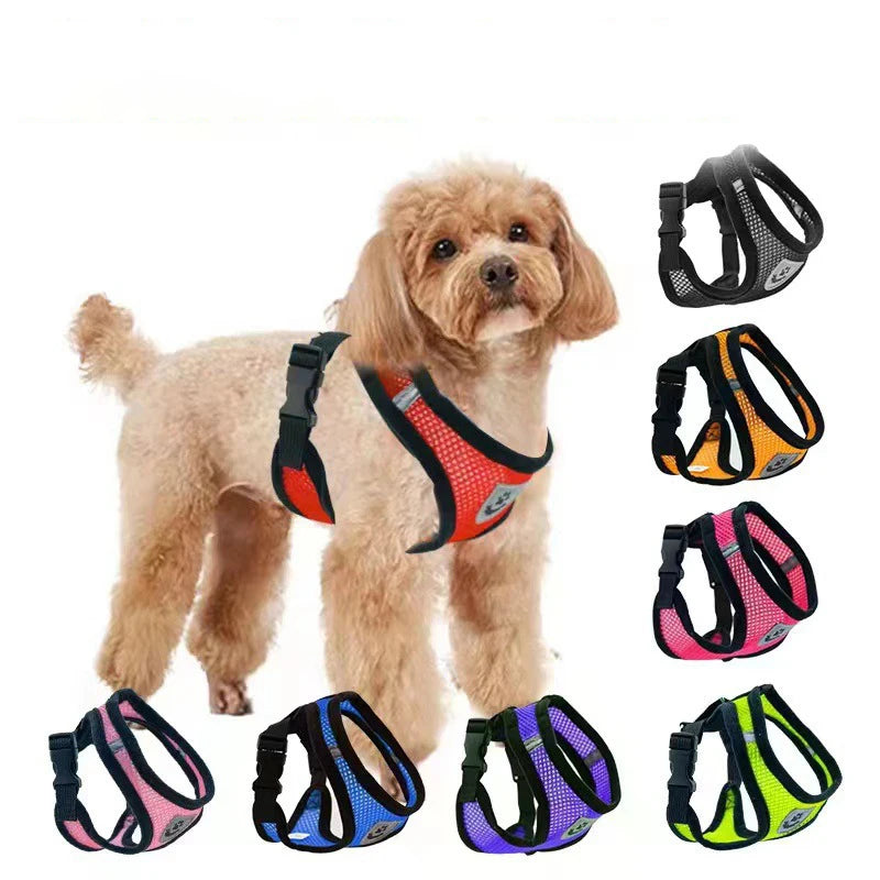 Harnais Gilet Chat & Chien Laisse Promenade Maille Réglable Polyester – Collier Confortable Petite & Moyenne Race | Accessoires Animaux