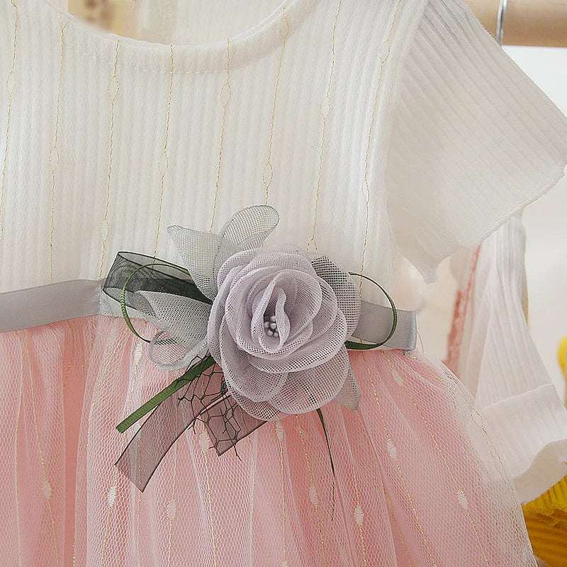 Robe Princesse Bébé Fille Été Tulle Fleurs Ruban – Robe Anniversaire Fête Mignonne Enfant
