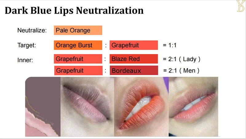 Pigments Lèvres Semi-Permanent YDPMU NEO – Neutralisation 10 Couleurs | Maquillage Permanent