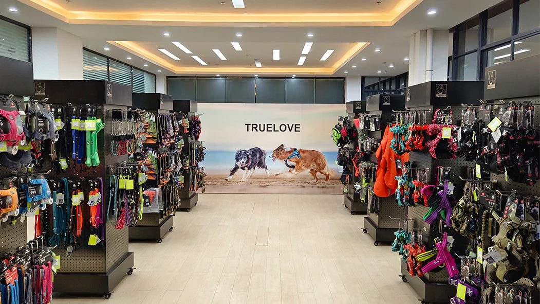 Truelove Harnais Chien Réfléchissant Nylon TLH5651 – Rembourré, Ajustable, Toutes Saisons | Sécurité Voiture & Balade
