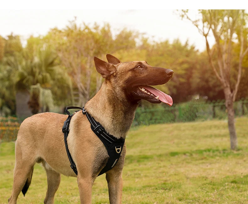 Hundegeschirr TRUE LOVE Anti-Zug Nylon Reflektierend Verstellbar – Bequem Einfaches Anlegen Alle Größen | Truelove TLH5654
