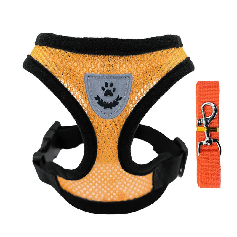Harnais Gilet Chat & Chien Laisse Promenade Maille Réglable Polyester – Collier Confortable Petite & Moyenne Race | Accessoires Animaux