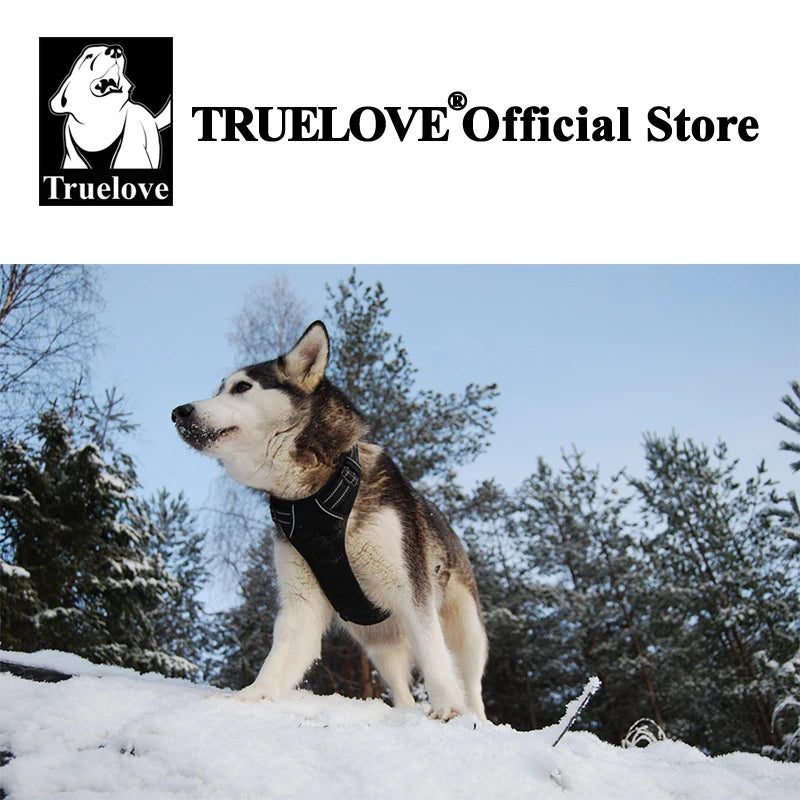 Truelove Harnais Chien Réfléchissant Nylon TLH5651 – Rembourré, Ajustable, Toutes Saisons | Sécurité Voiture & Balade