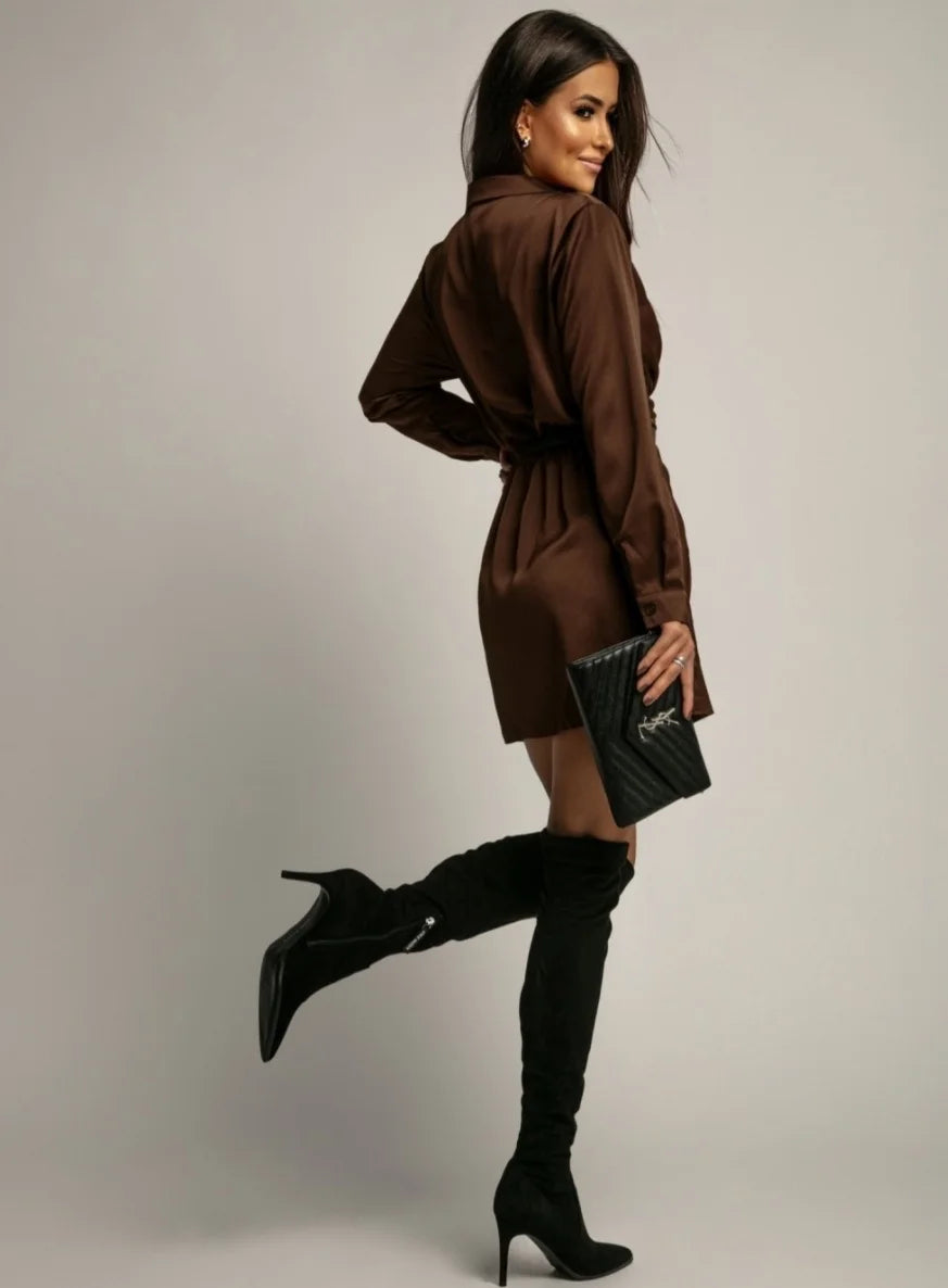 Satin-Minikleid für Damen, langärmelig, Hemdkragen, figurbetont, elegant – schicke Abendgarderobe | Luxus